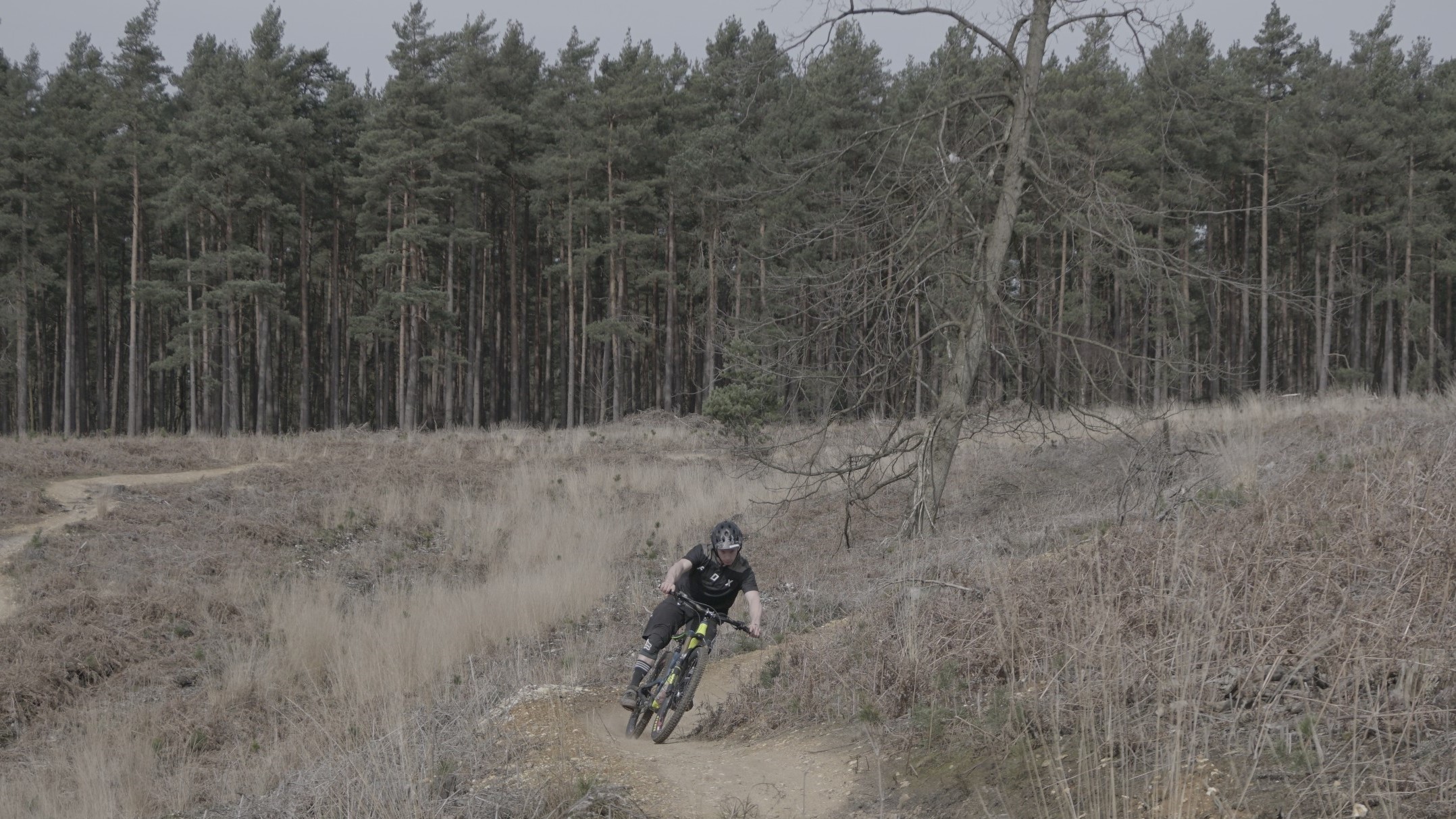 Swinley forest mtb trails online
