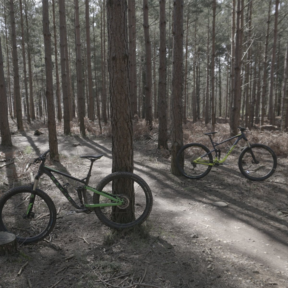 swinley bike hire