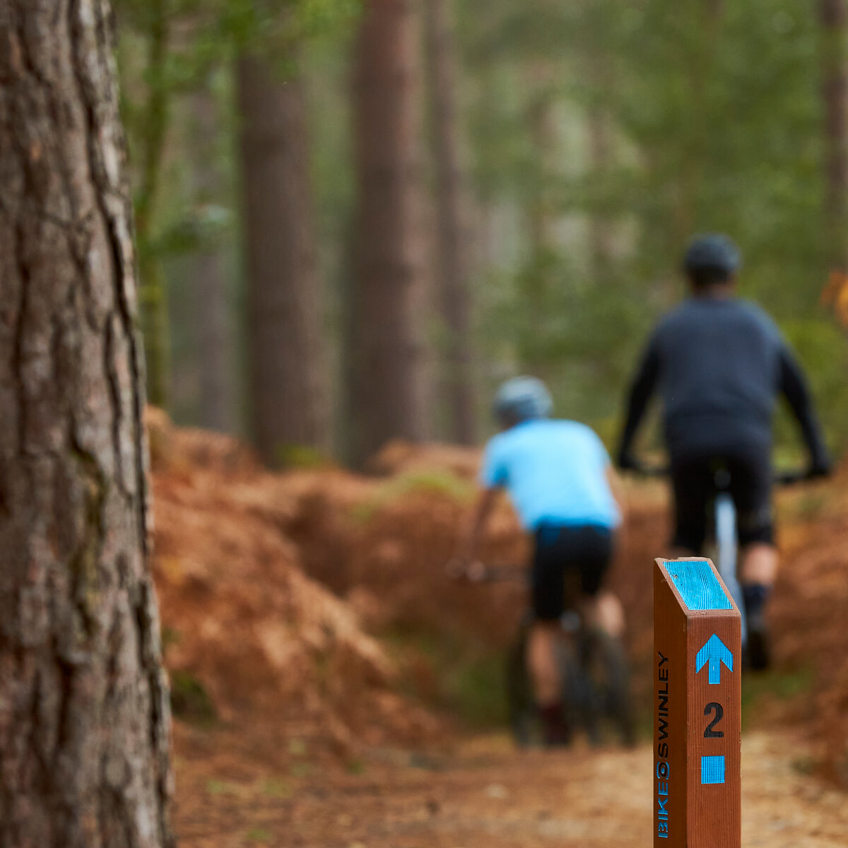 Blue Trail Routes MTB Cycle Hire Swinley Bike Hub
