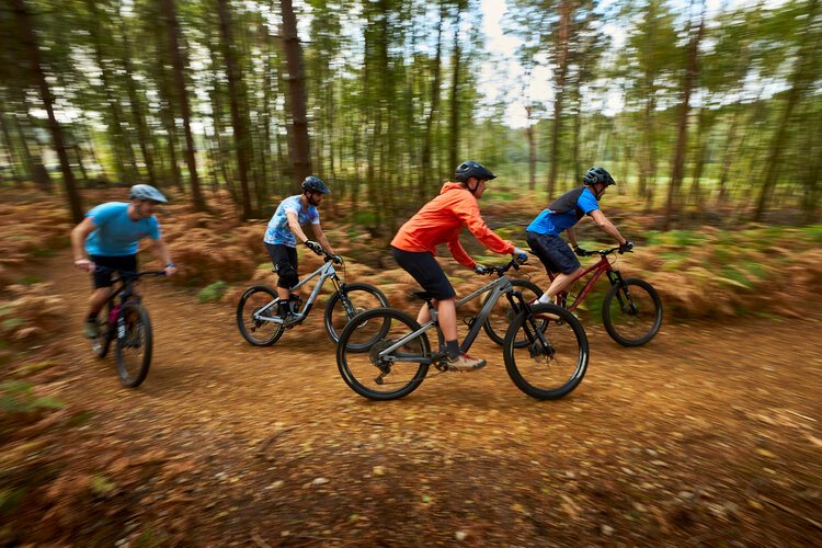 Colleges & Academies