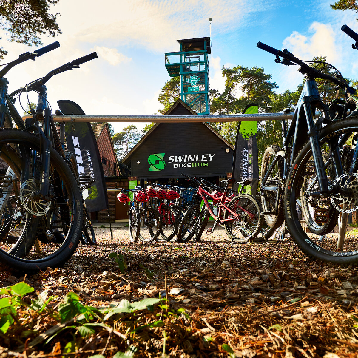 Swinley forest top bike hire