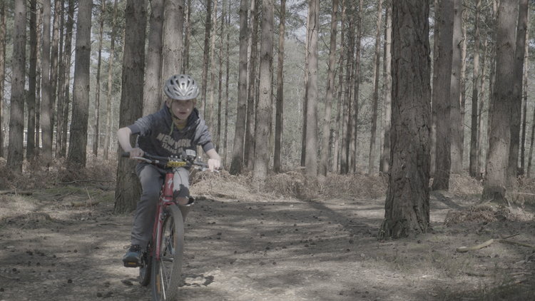 swinley forest biking