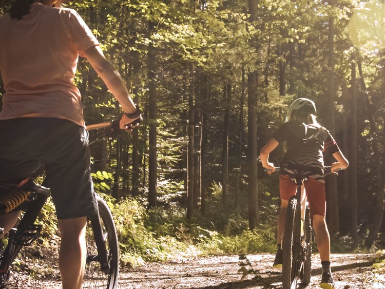 Forest bike new arrivals
